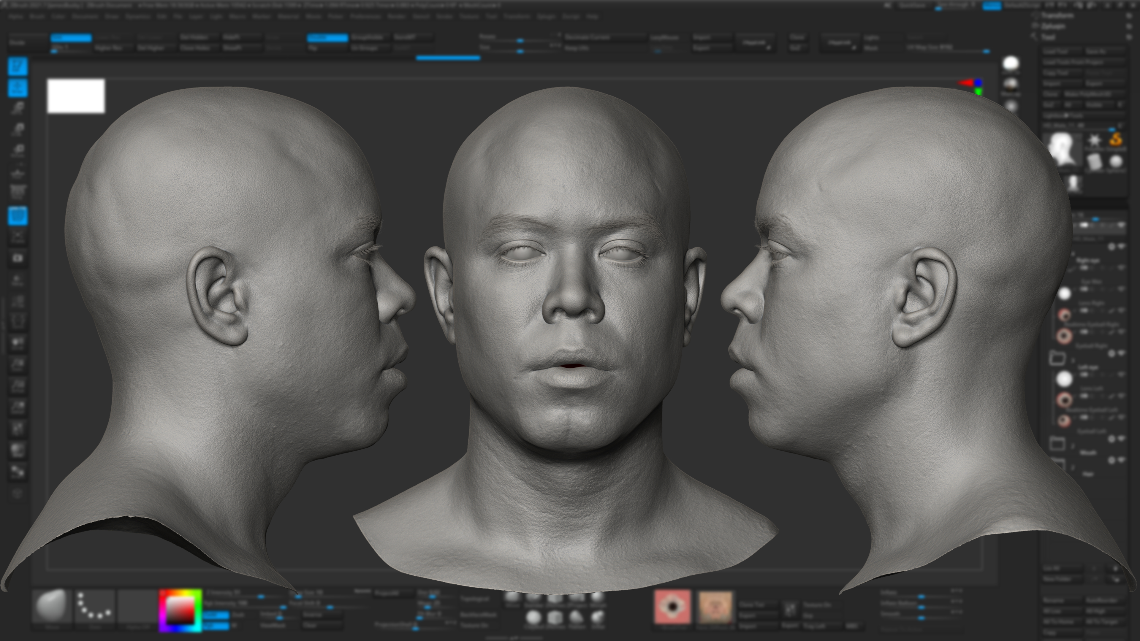 download realistic zbrush head model